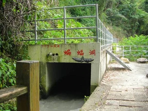 The Bat Cave