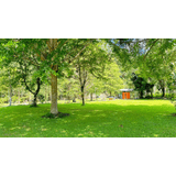 Campsite - 6
